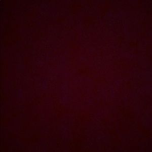 Meet your Posher, Tanya